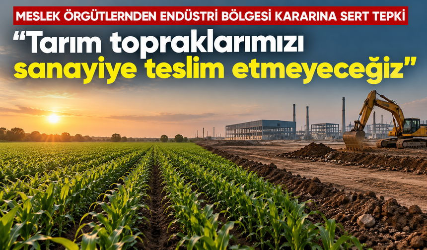 Meslek örgütlerinden "Endüstri Bölgesi" kararına sert tepki: "Tarım topraklarımızı sanayiye teslim etmeyeceğiz"