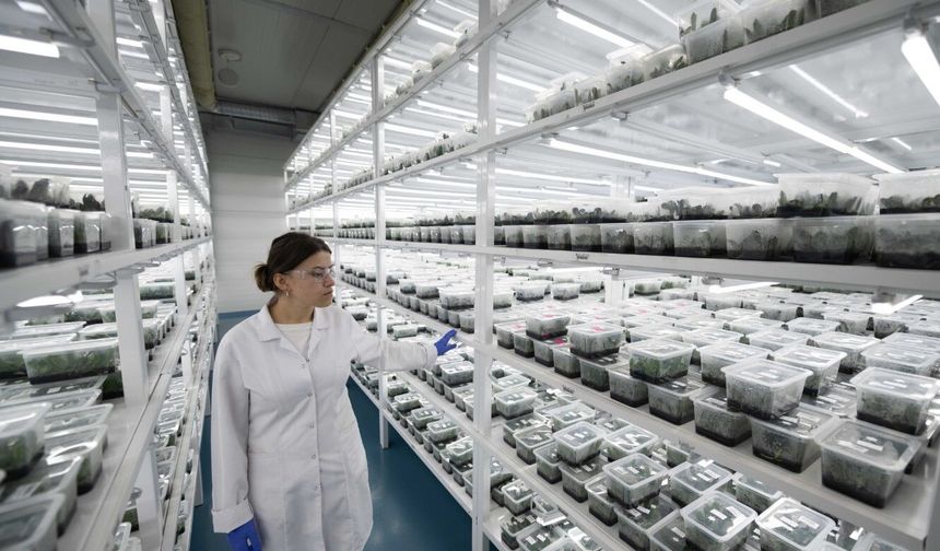 İthal ediliyordu, şimdi Hendek’te üretilip dünyaya satılıyor