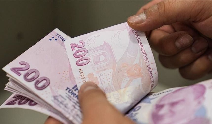 Diplomasız en çok kazanan meslekler açıklandı