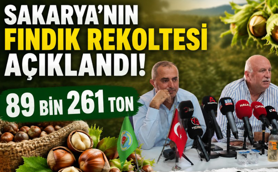 Sakarya’nın fındık rekoltesi açıklandı… 89 bin 261 ton