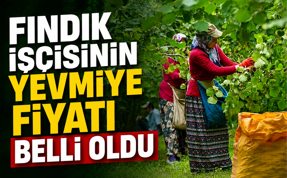 Fındık işçisinin yevmiye fiyatı belli oldu