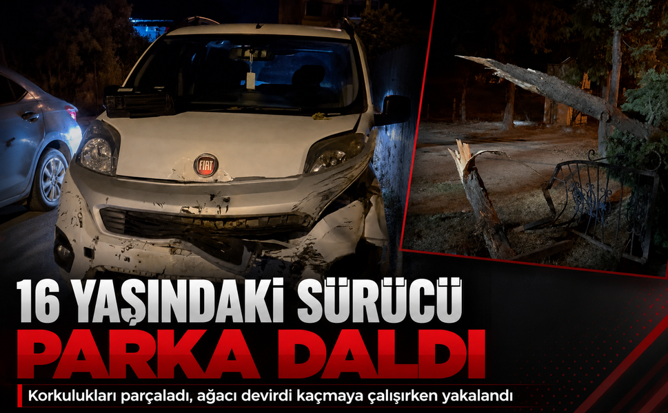 16 yaşındaki sürücü parka daldı… Korkulukları parçaladı, ağacı devirdi kaçmaya çalışırken yakalandı