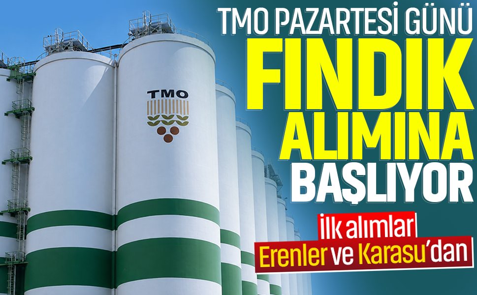 TMO pazartesi günü fındık alımına başlıyor! İlk alımlar Erenler ve Karasu’dan