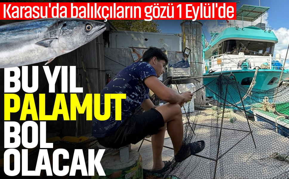 Karasu'da balıkçıların gözü 1 Eylül'de... Bu yıl palamut bol olacak