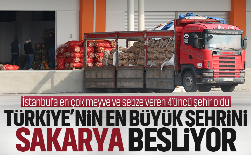 Türkiye’nin en büyük şehrini Sakarya besliyor...İstanbul’a en çok meyve ve sebze veren 4’üncü şehir oldu