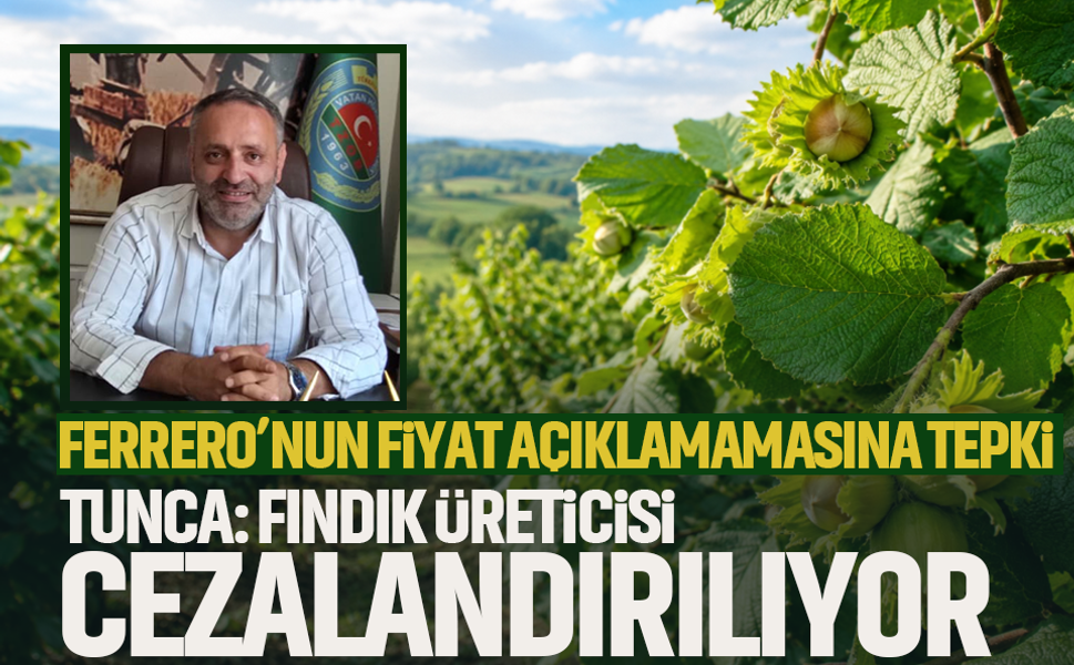Ferrero’nun fiyat açıklamamasına tepki...Tunca: Fındık üreticisi cezalandırılıyor