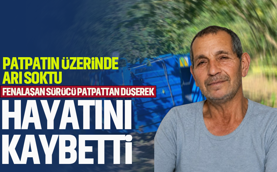 Patpatın üzerinde arı soktu, fenalaşan sürücü hayatını kaybetti