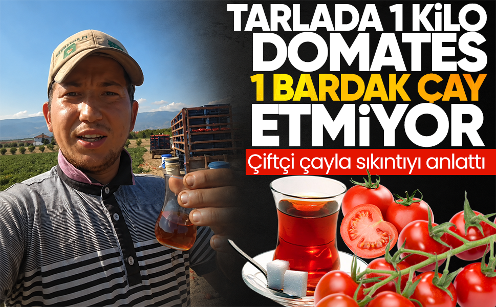 Tarlada 1 kilo domates 1 bardak çay etmiyor... Çiftçi çayla sıkıntıyı anlattı