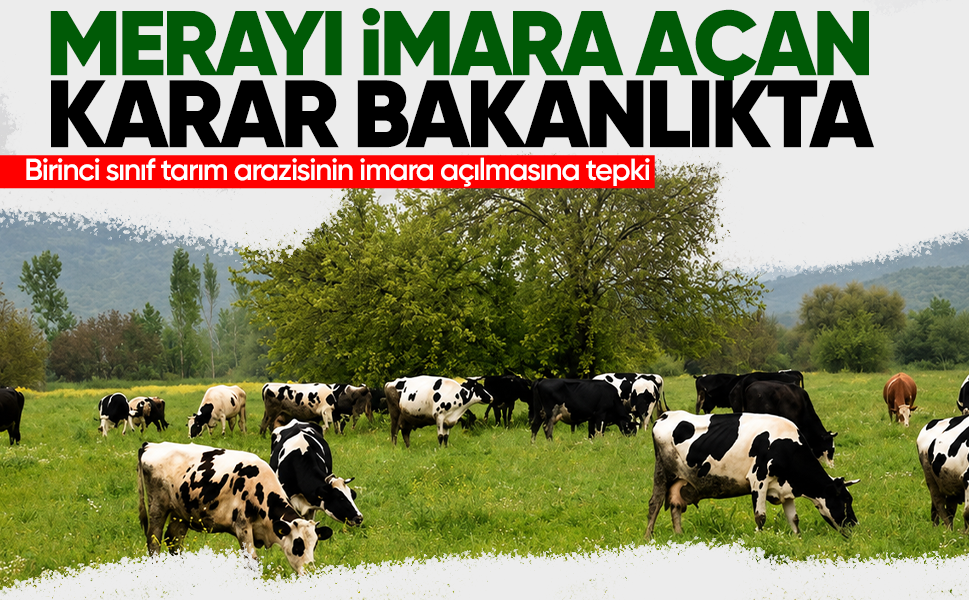 Merayı imara açan karar bakanlıkta... Birinci sınıf tarım arazisinin imara açılmasına tepki
