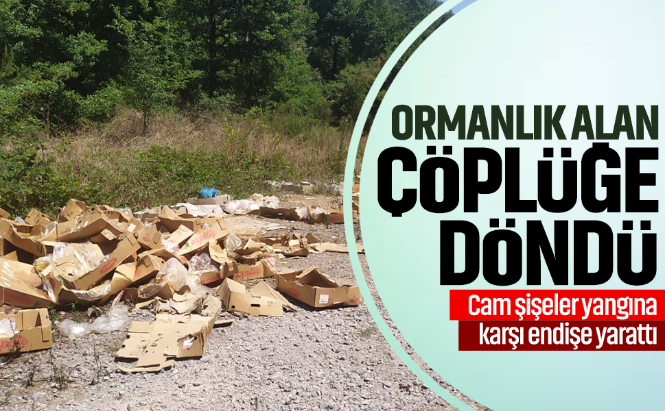 Ormanlık alan çöplüğe döndü... Cam şişeler yangına karşı endişe yarattı