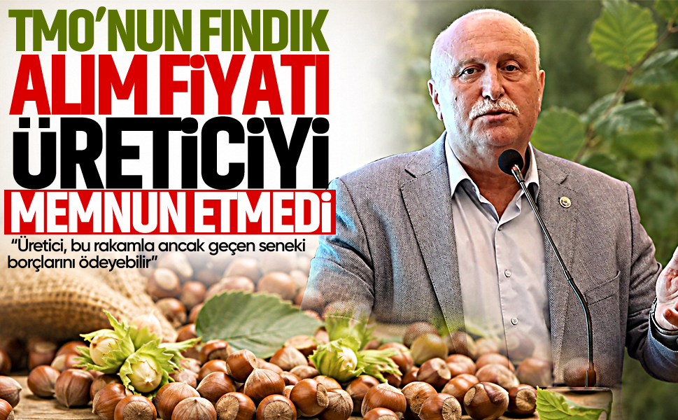 TMO'nun fındık alım fiyatı üreticiyi memnun etmedi