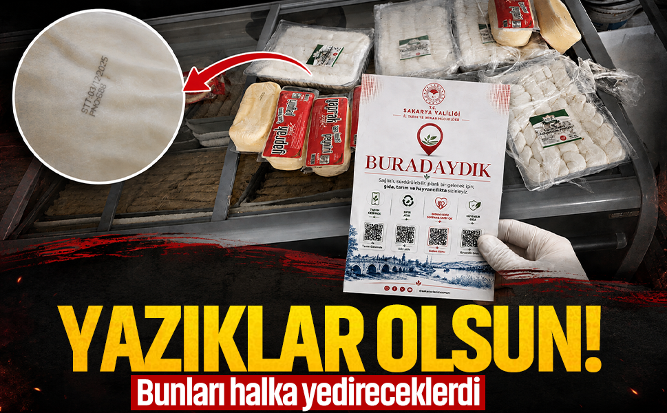 Son kullanma tarihi 8 ay geçen peynir ve bozuk kıymaları vatandaşa yedireceklerdi! İki işletmeye toplam 79 bin TL ceza