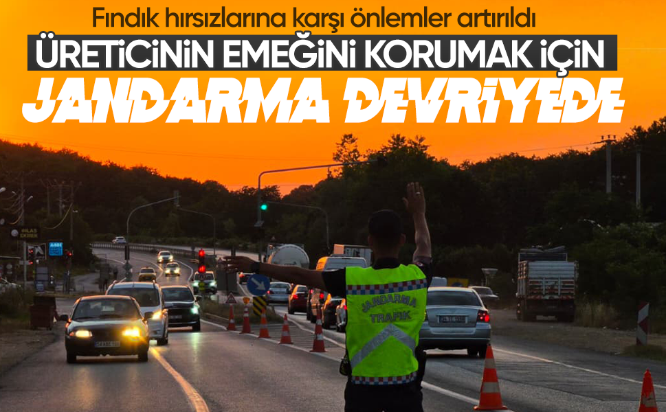 Fındık hırsızlarına karşı önlemler artırıldı... Üreticinin emeğini korumak için jandarma devriyede