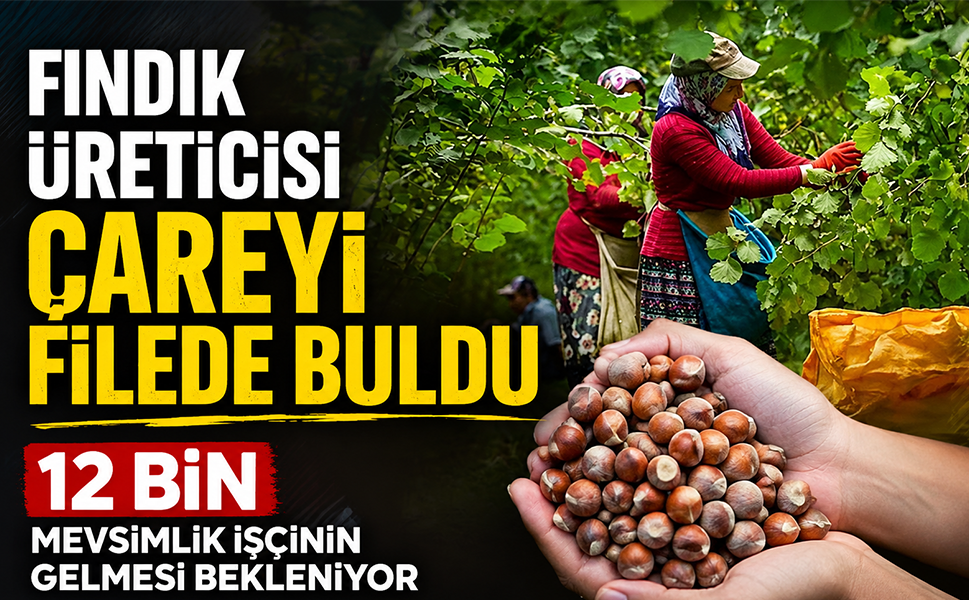 Fındık üreticisi çareyi filede buldu…12 bin mevsimlik işçinin gelmesi bekleniyor