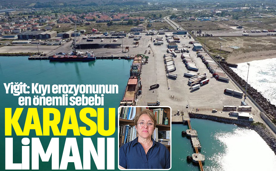 Yiğit: Kıyı erozyonunun en önemli sebebi Karasu Limanı