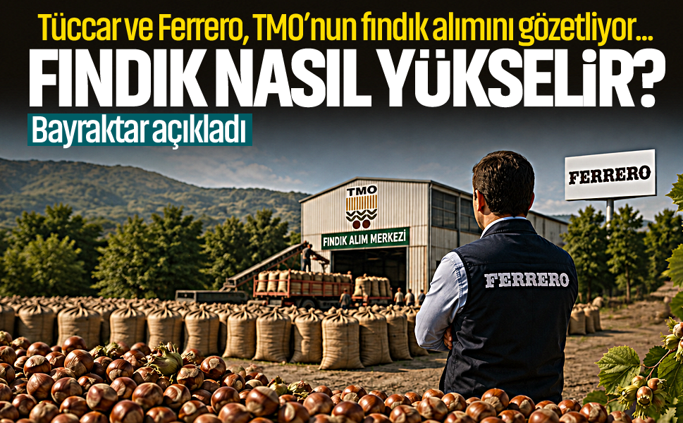 Tüccar ve Ferrero, TMO’nun fındık alımını gözetliyor... Fındık nasıl yükselir? Bayraktar açıkladı