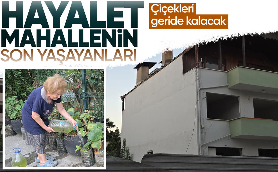 Hayalet mahallenin son yaşayanları... Çiçekleri geride kalacak