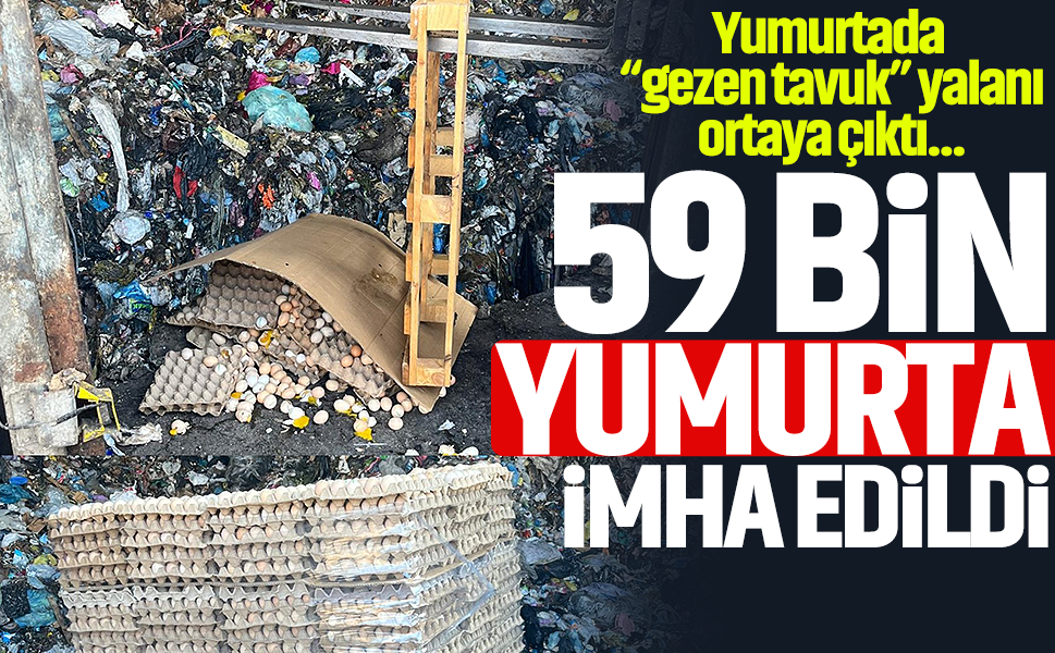 Yumurtada “gezen tavuk” yalanı ortaya çıktı... 59 bin yumurta imha edildi