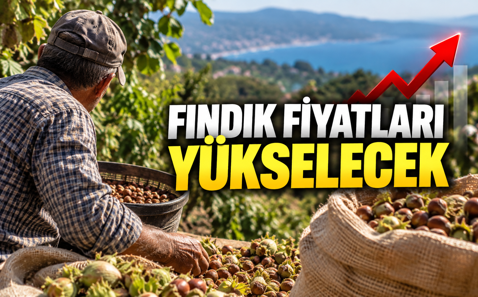 Fındık fiyatları yükselecek